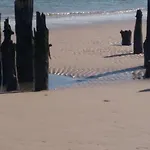 Wattwurm Wangerooge