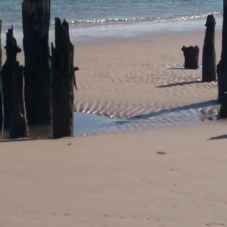 Wattwurm Wangerooge